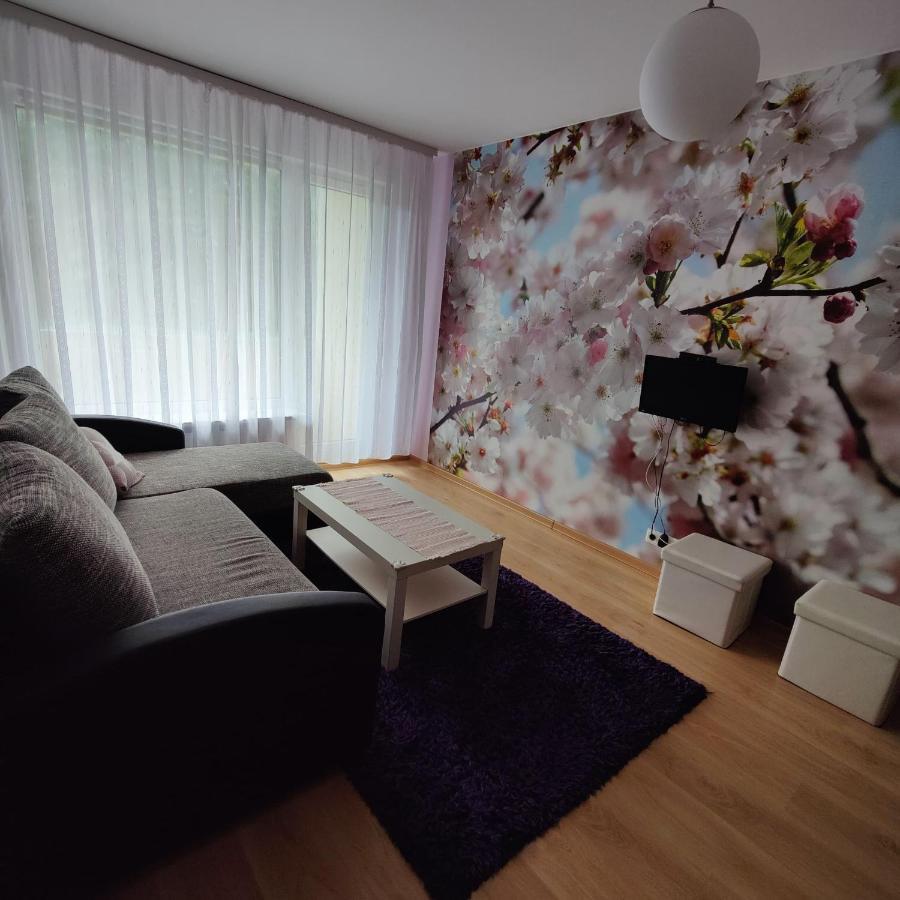 Dainai Apartament Šiauliai Kültér fotó